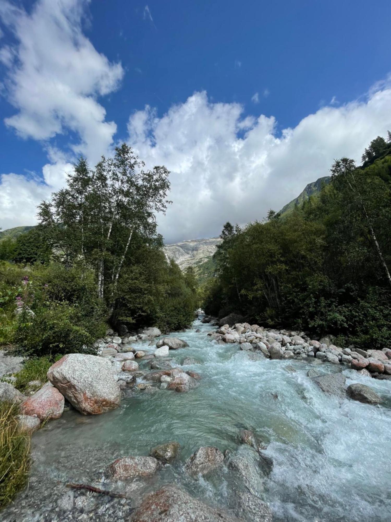 10 Bel-alp Apartment Chamonix