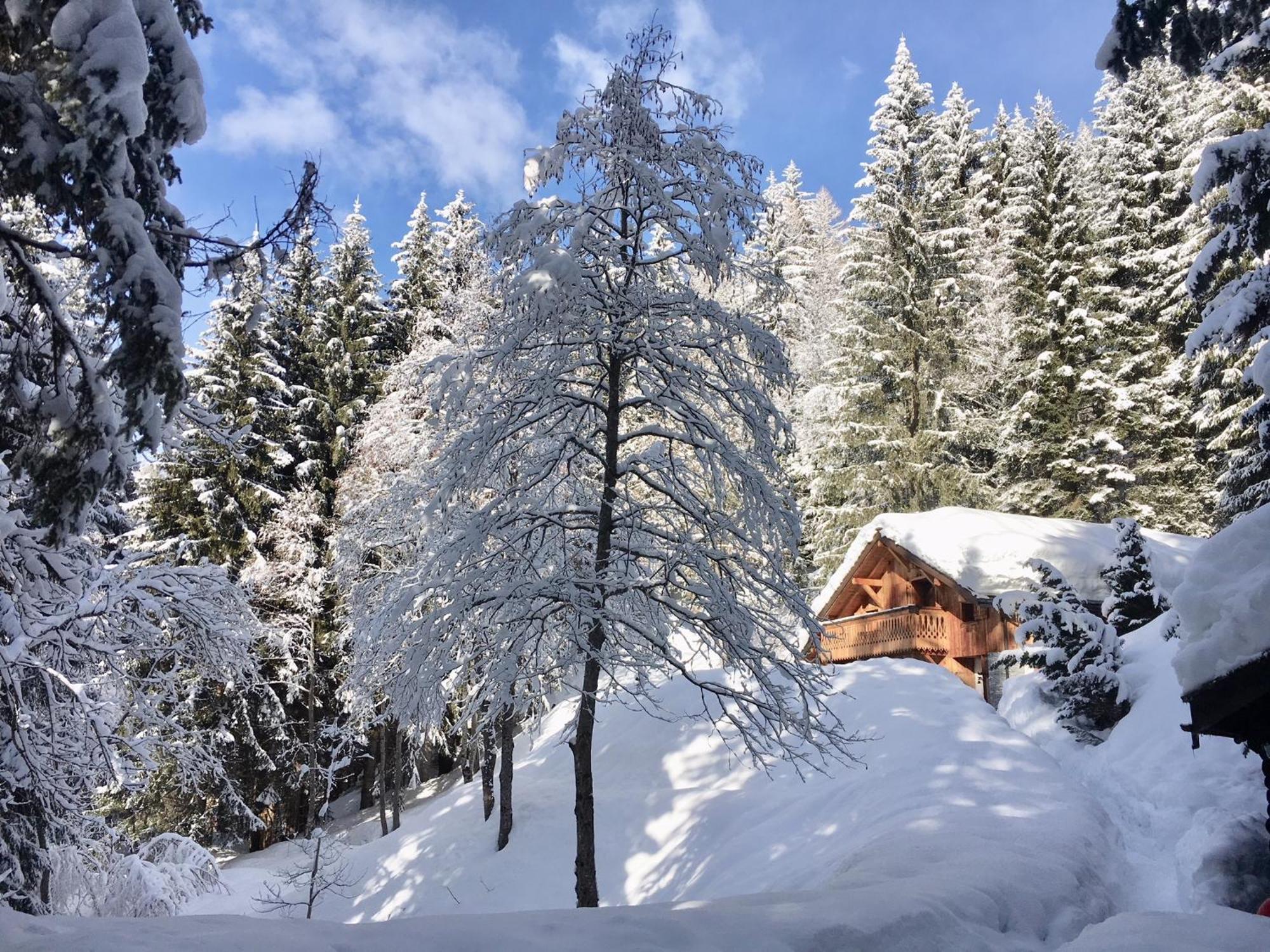Marmotte Mountain Retreat * Chamonix