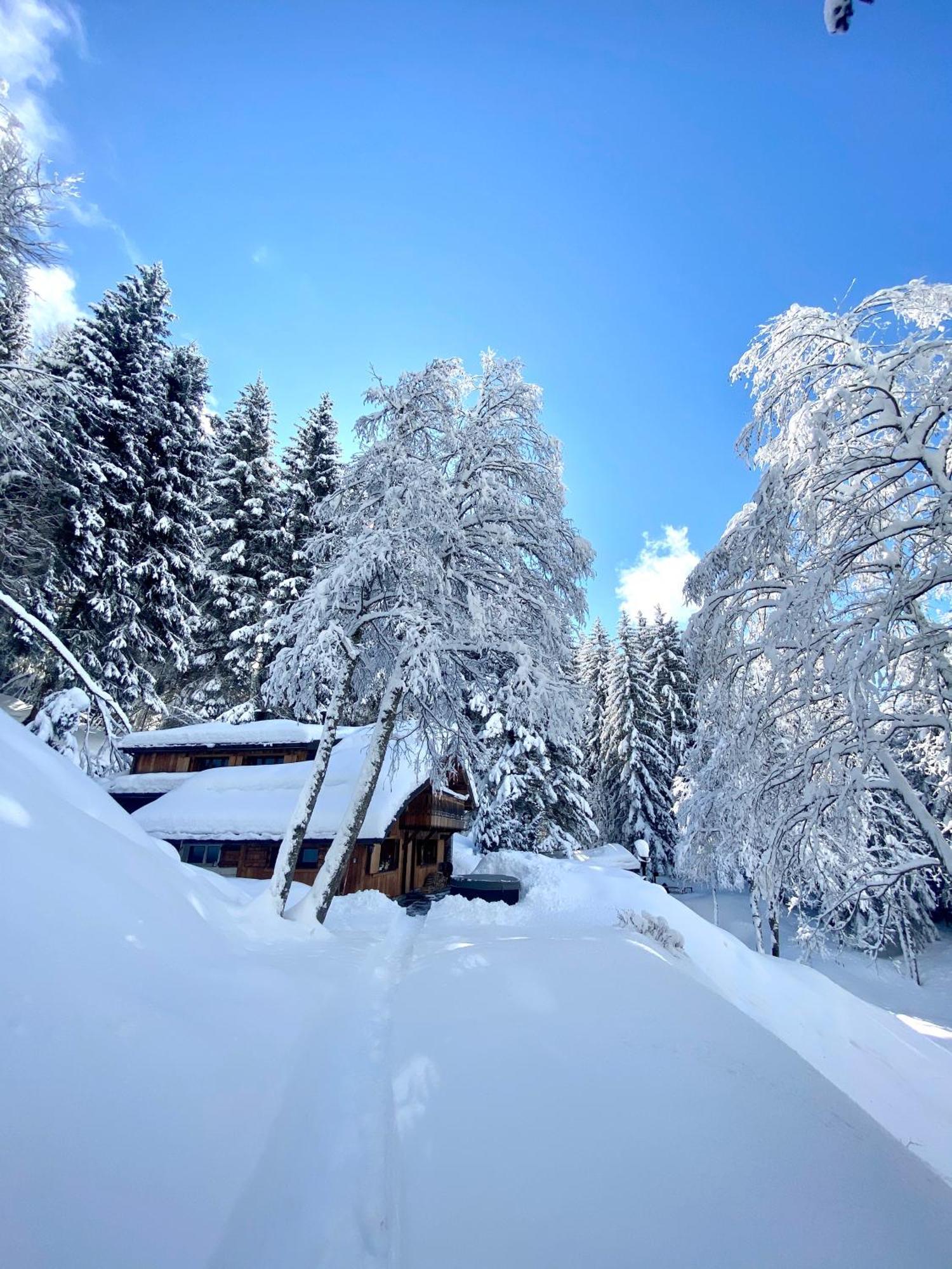 Marmotte Mountain Retreat Chalet