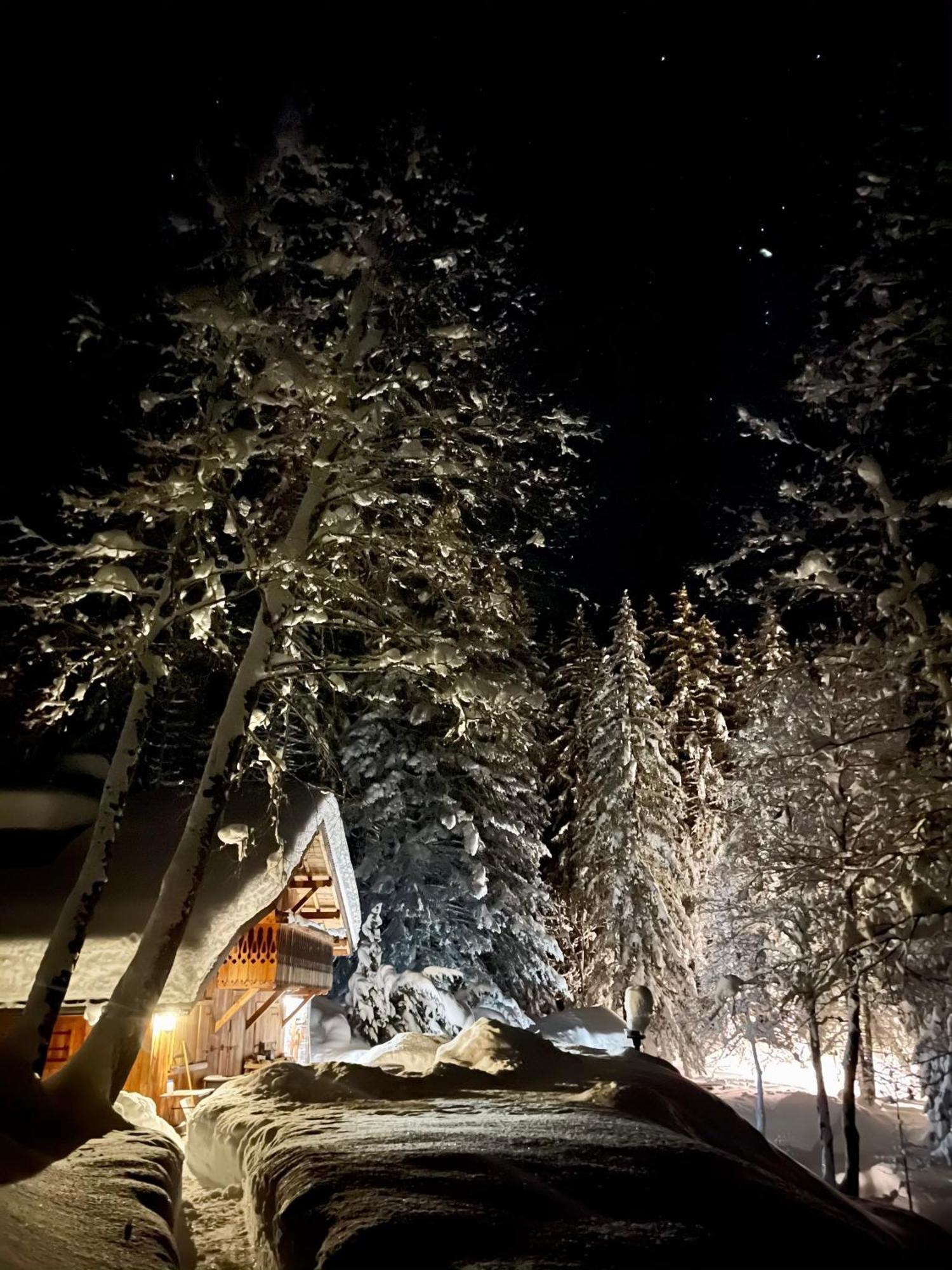 Chalet Marmotte Mountain Retreat Chamonix