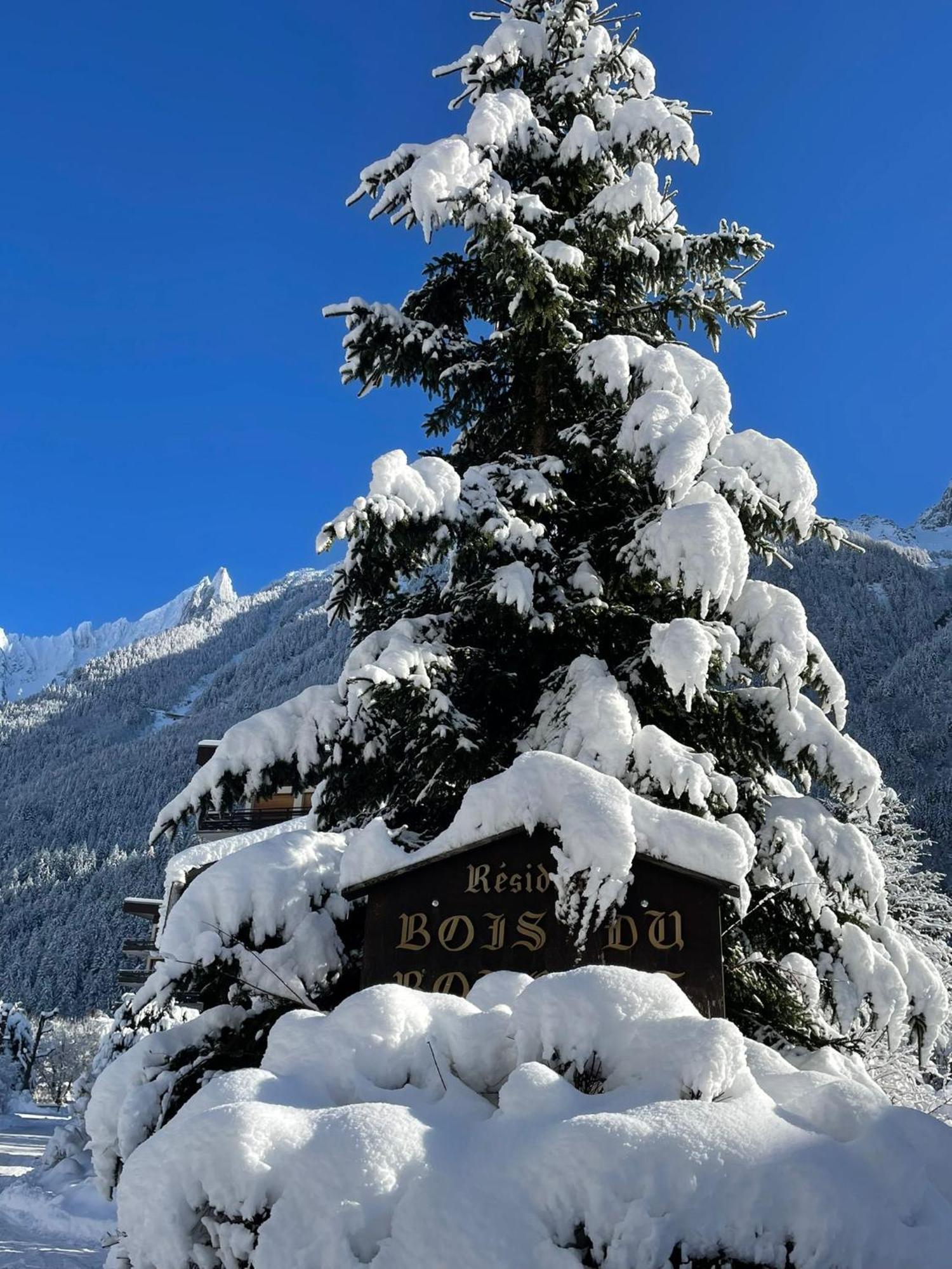 Bois Du Bouchet, Vue Montagne, Calme, Parking Gratuit, Proche Centre Apartment Chamonix