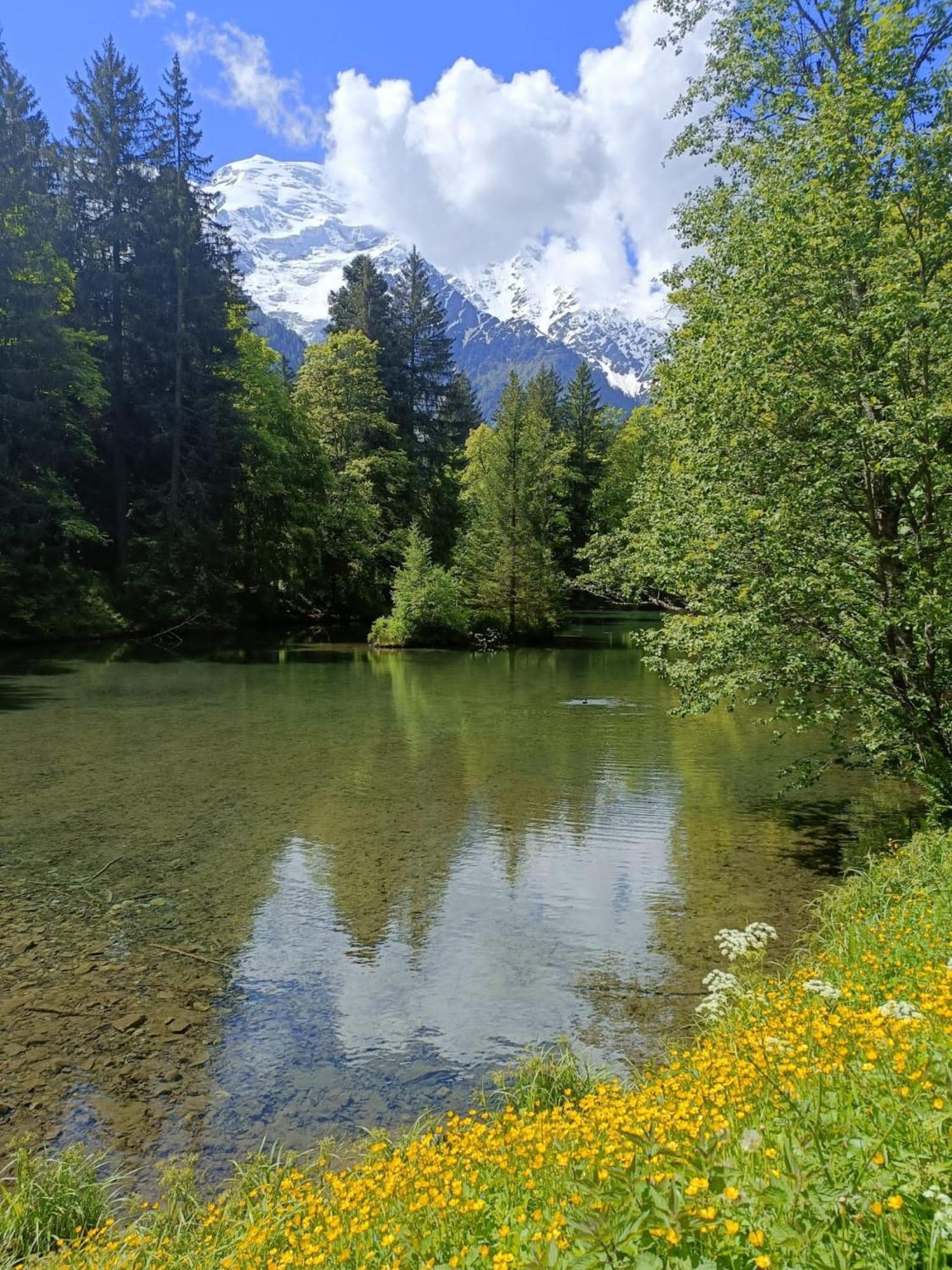 Des Gaillands - Renove - Balcon Avec Vues Apartment Chamonix