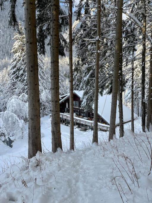 Chalet Large Peaceful For Mountain Adventures! Perfect For Flegere And Grand Montet Skiing