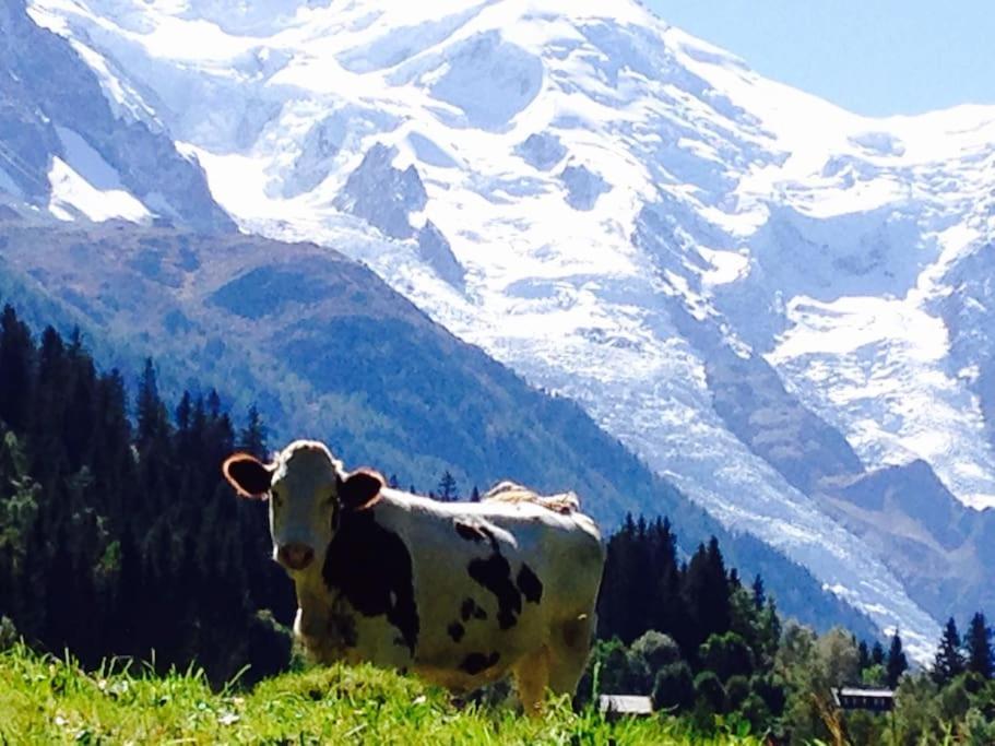 Chalet Large Peaceful For Mountain Adventures! Perfect For Flegere And Grand Montet Skiing Chamonix