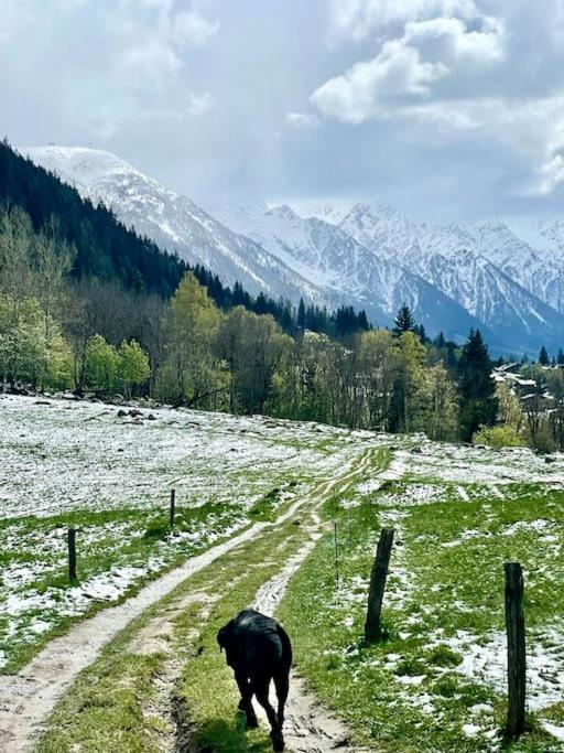 Large Peaceful For Mountain Adventures! Perfect For Flegere And Grand Montet Skiing