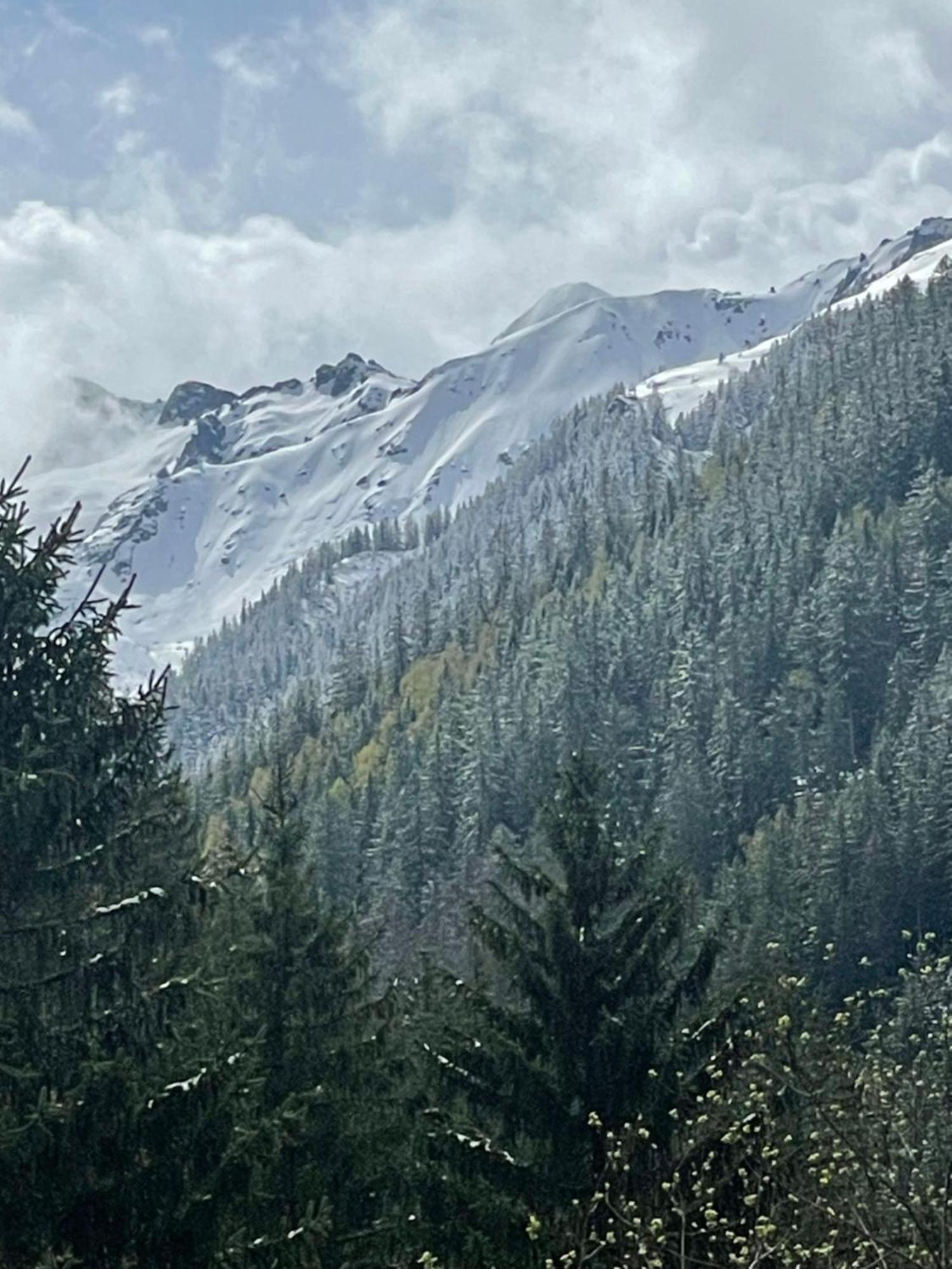 Large Peaceful For Mountain Adventures! Perfect For Flegere And Grand Montet Skiing