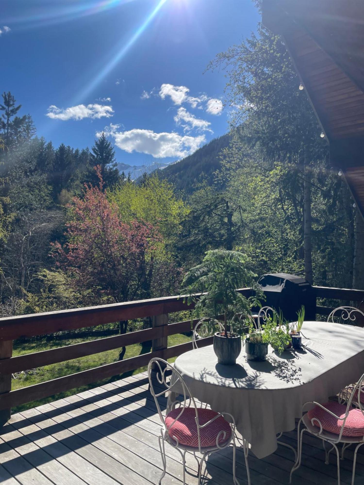 Chalet Large Peaceful For Mountain Adventures! Perfect For Flegere And Grand Montet Skiing *