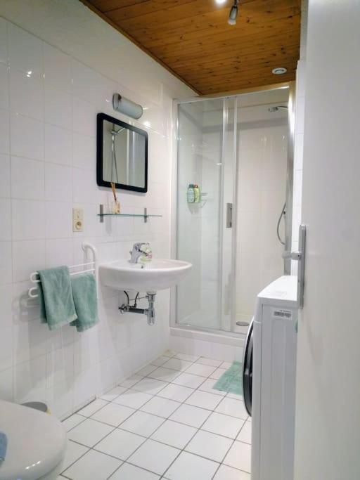 Apartment Hyper Center Charming With View On Mb Chamonix