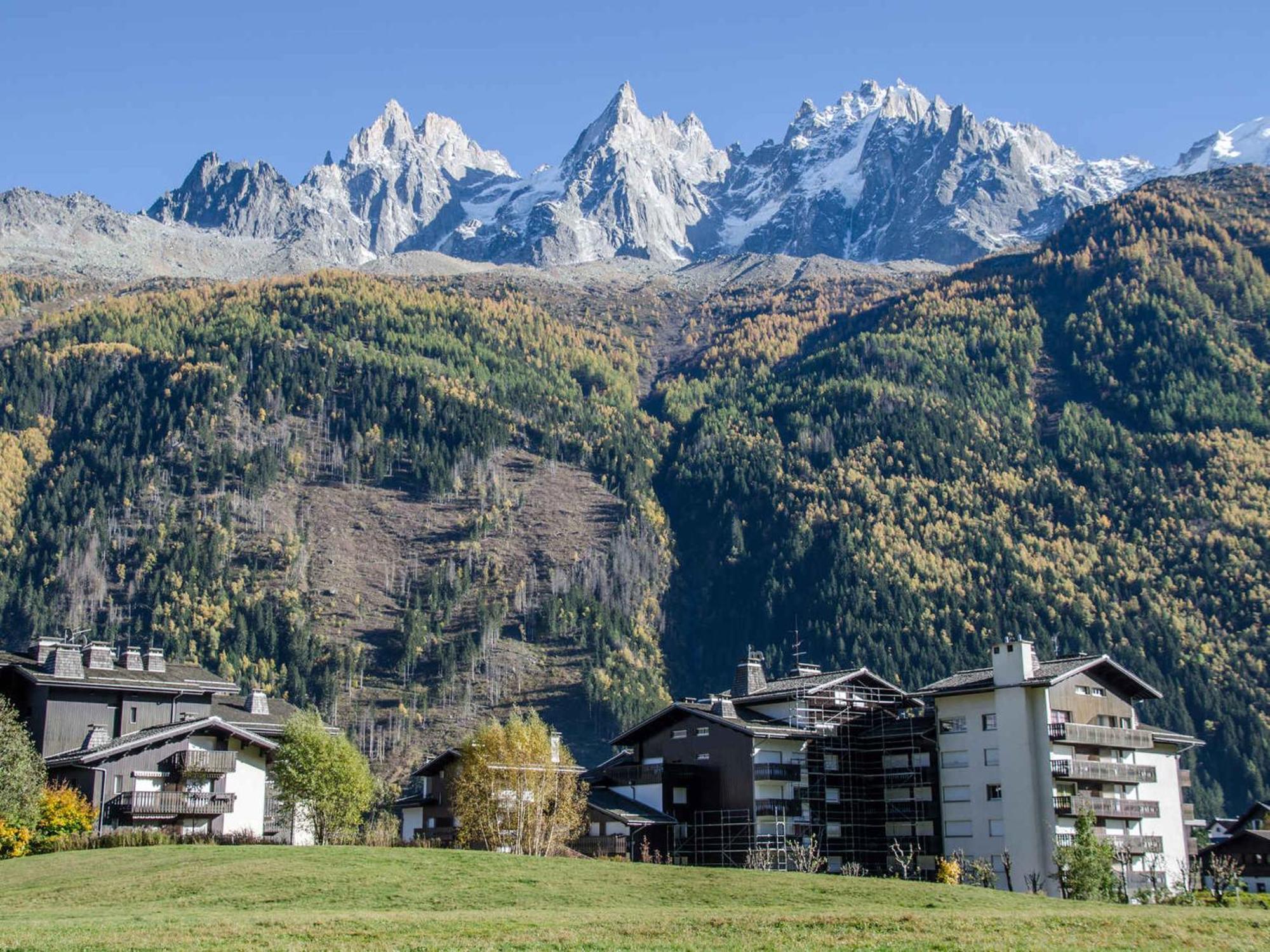 Au Pied Des Pistes Avec Parking Et Wifi - Fr-1-343-162 Chamonix