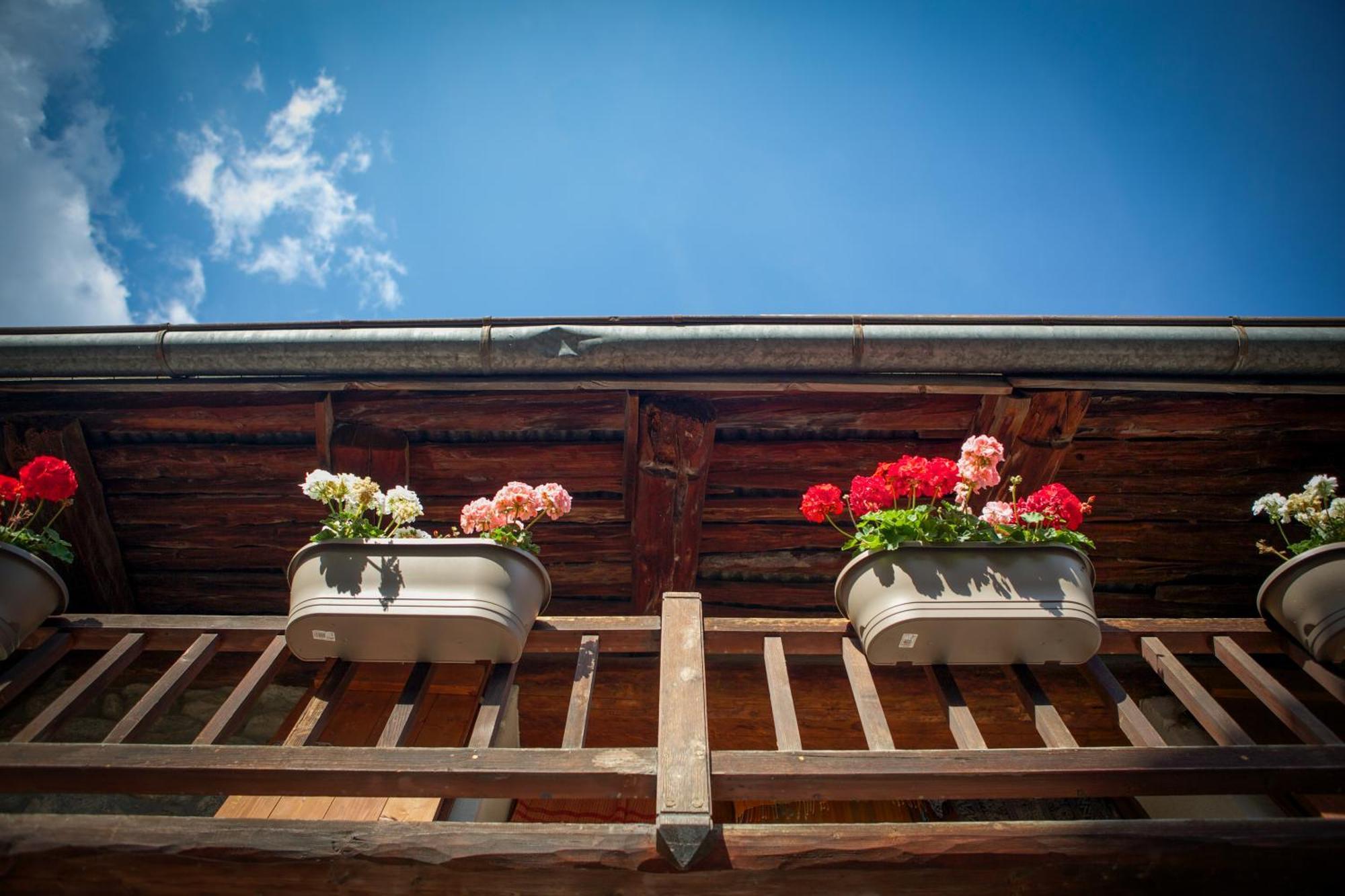 Lodge Marmotte Mountain Manor