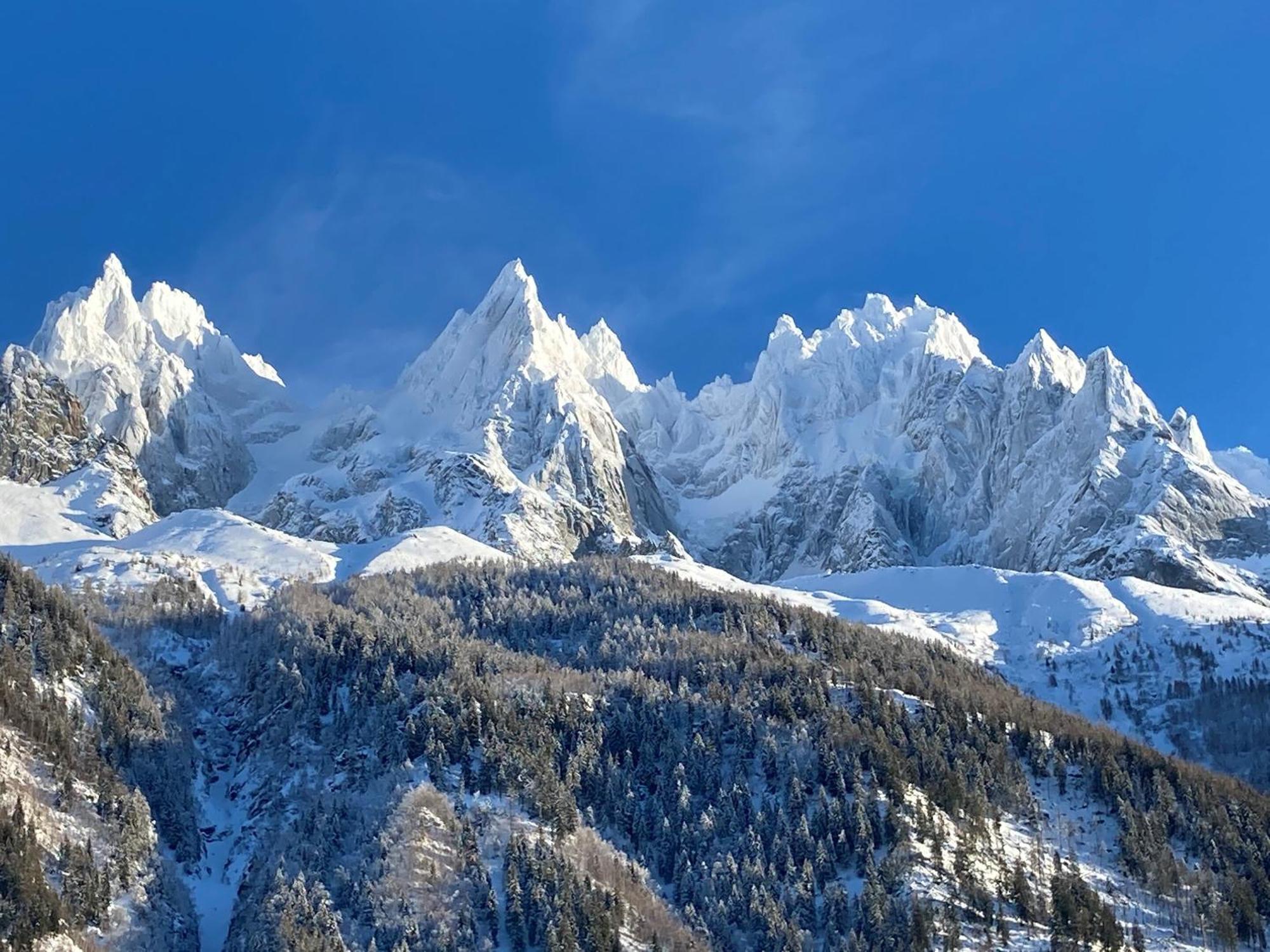 Apartment Superbe Vue Mont Blanc Chamonix