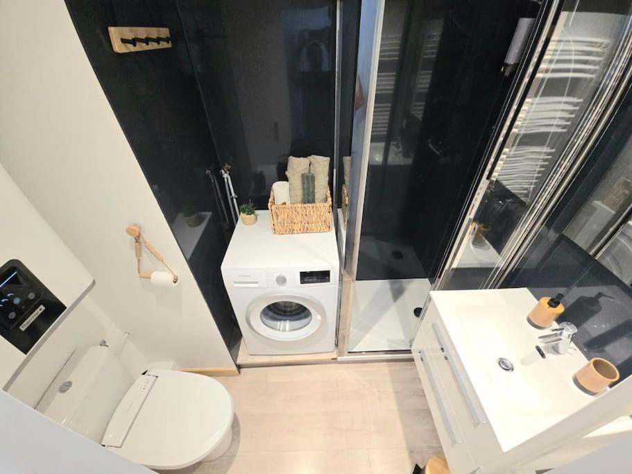 Appartement Avec Balcon Vue Montblanc Et Parking Gratuit Le Nid Daigle Chamonix