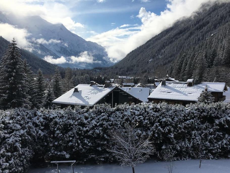 Apartment Les Montagnes Sur Le Balcon Chamonix