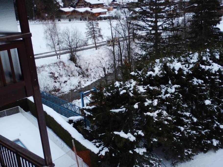 Les Montagnes Sur Le Balcon * Chamonix