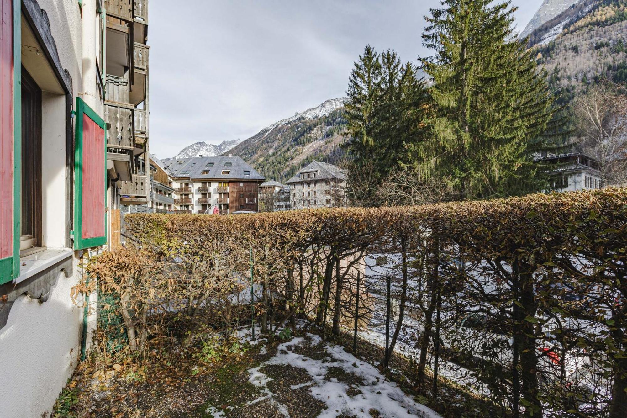 Sud - Jonquilles 22 - Happy Chamonix