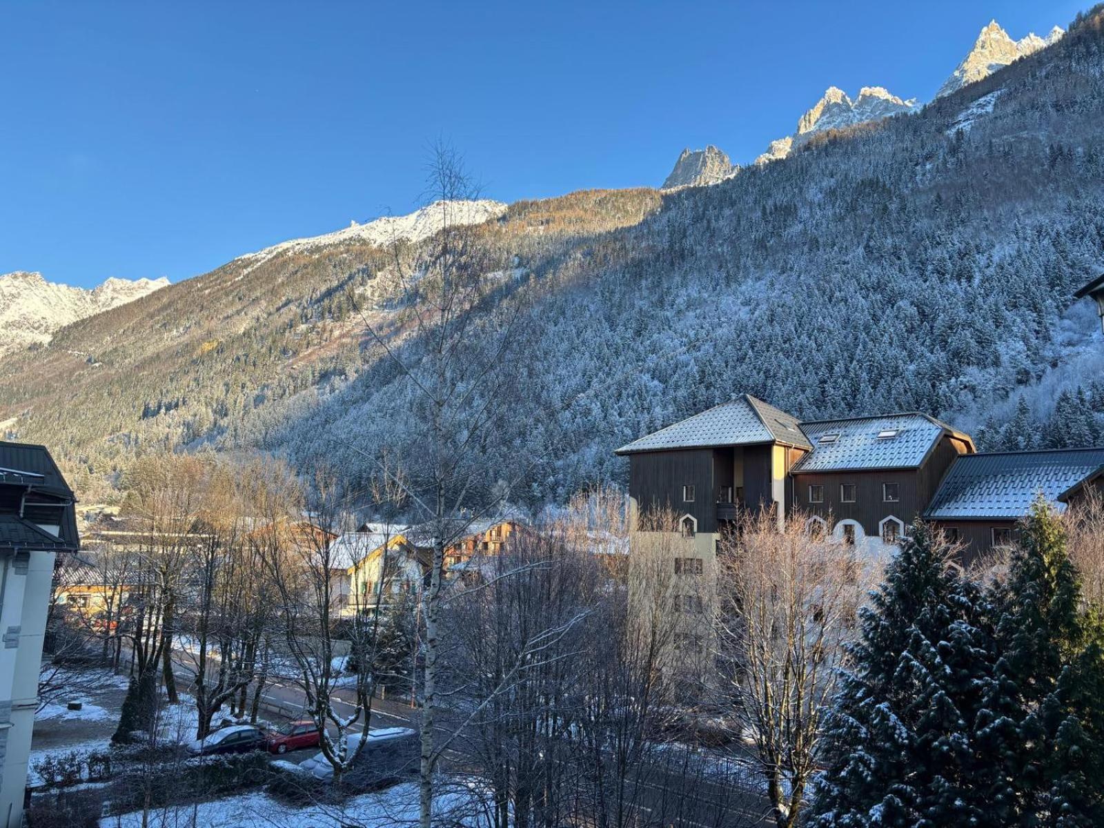 Apartment Le Chamois Blanc Chamonix