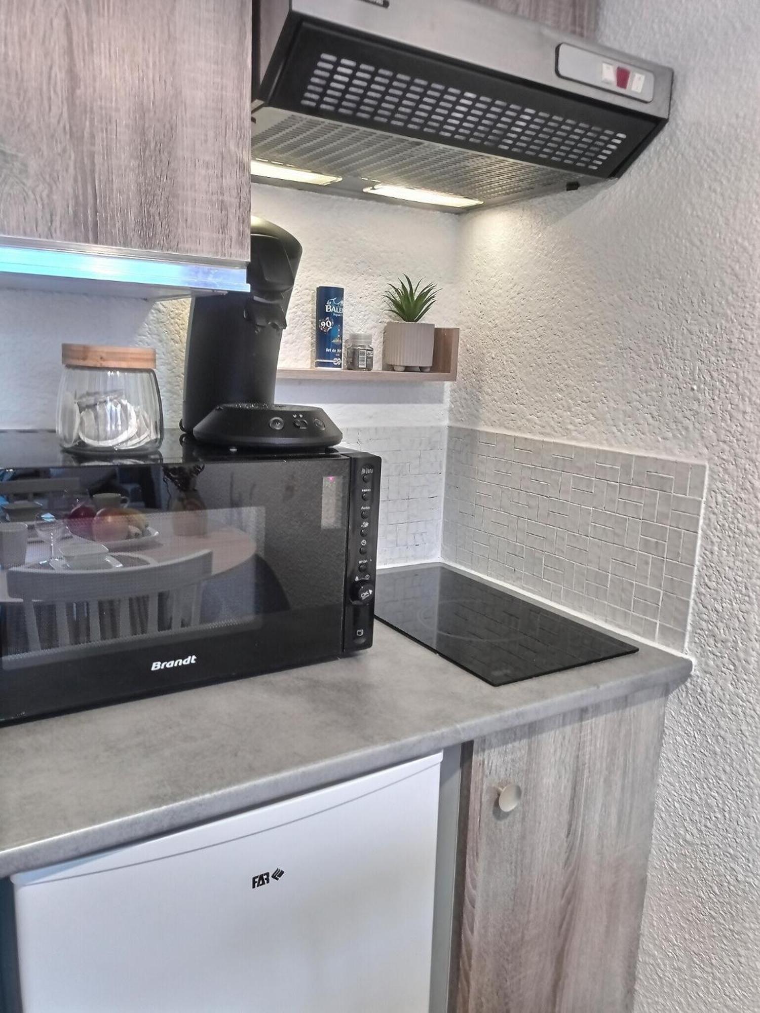 Apartment : Intime Au Bord Du Des Gaillands Et Pistes De Chamonix
