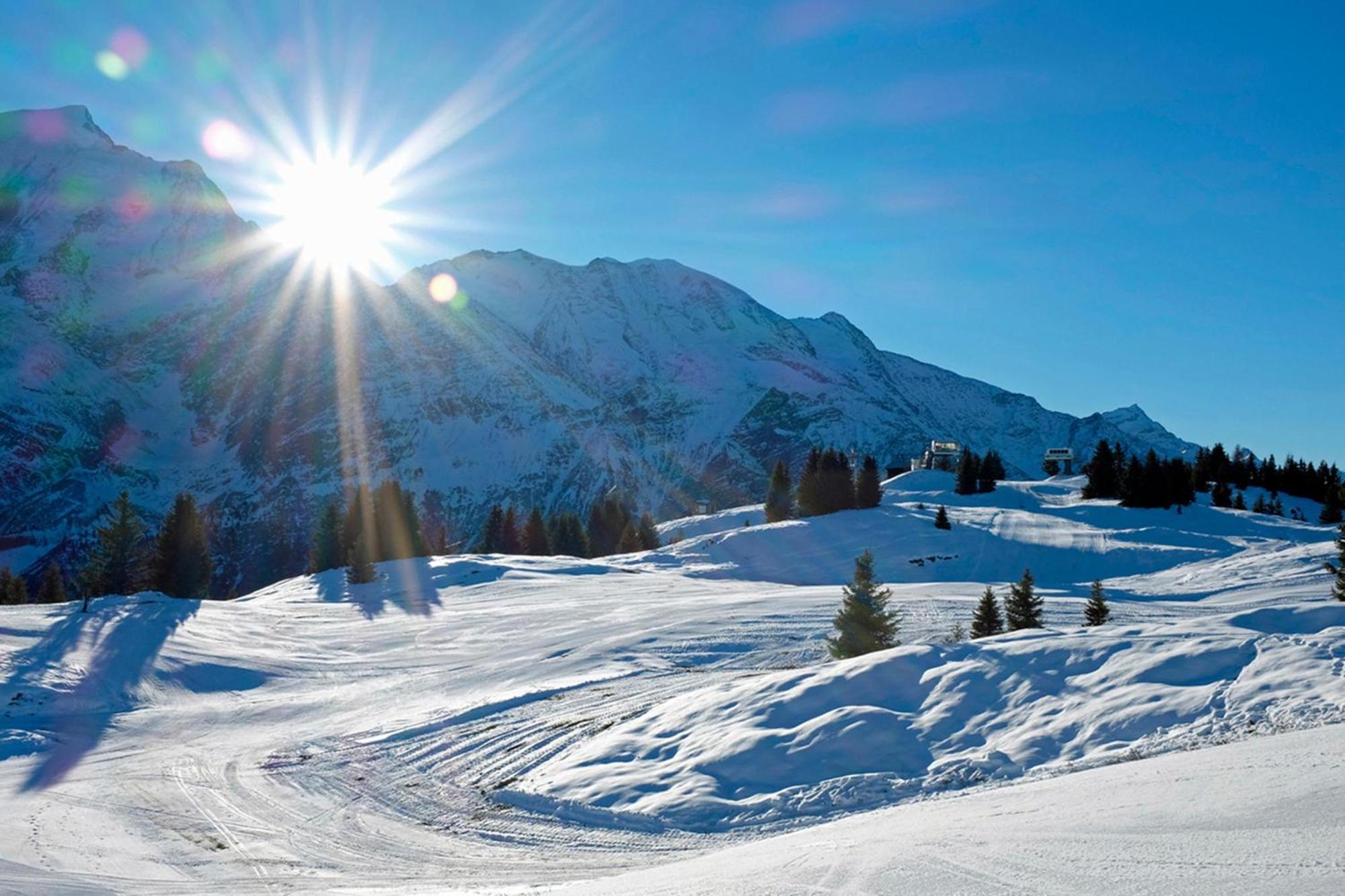 Apartment Jardins D'androsace 17 - Happy Chamonix