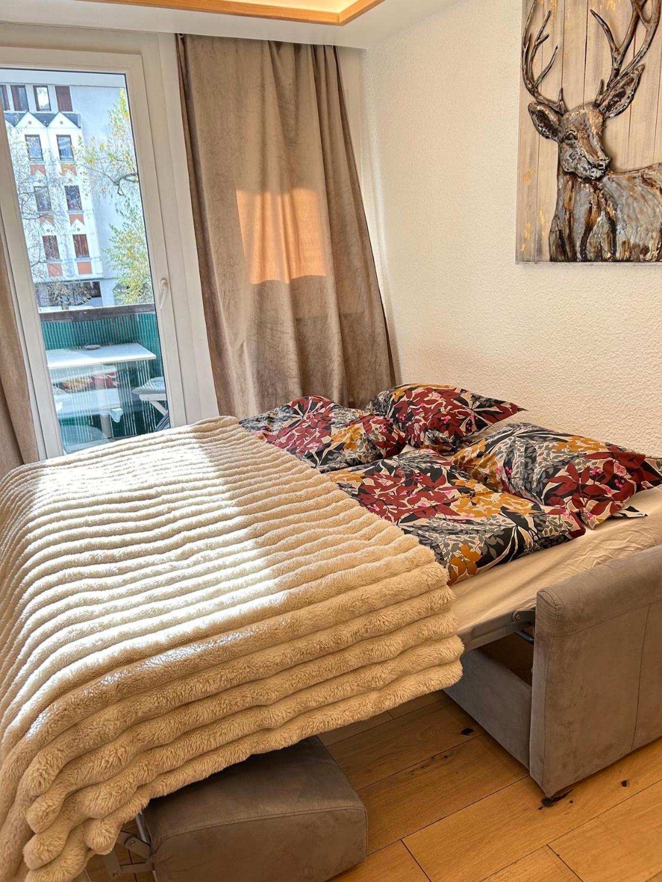 Vue Mont Blanc Appartement