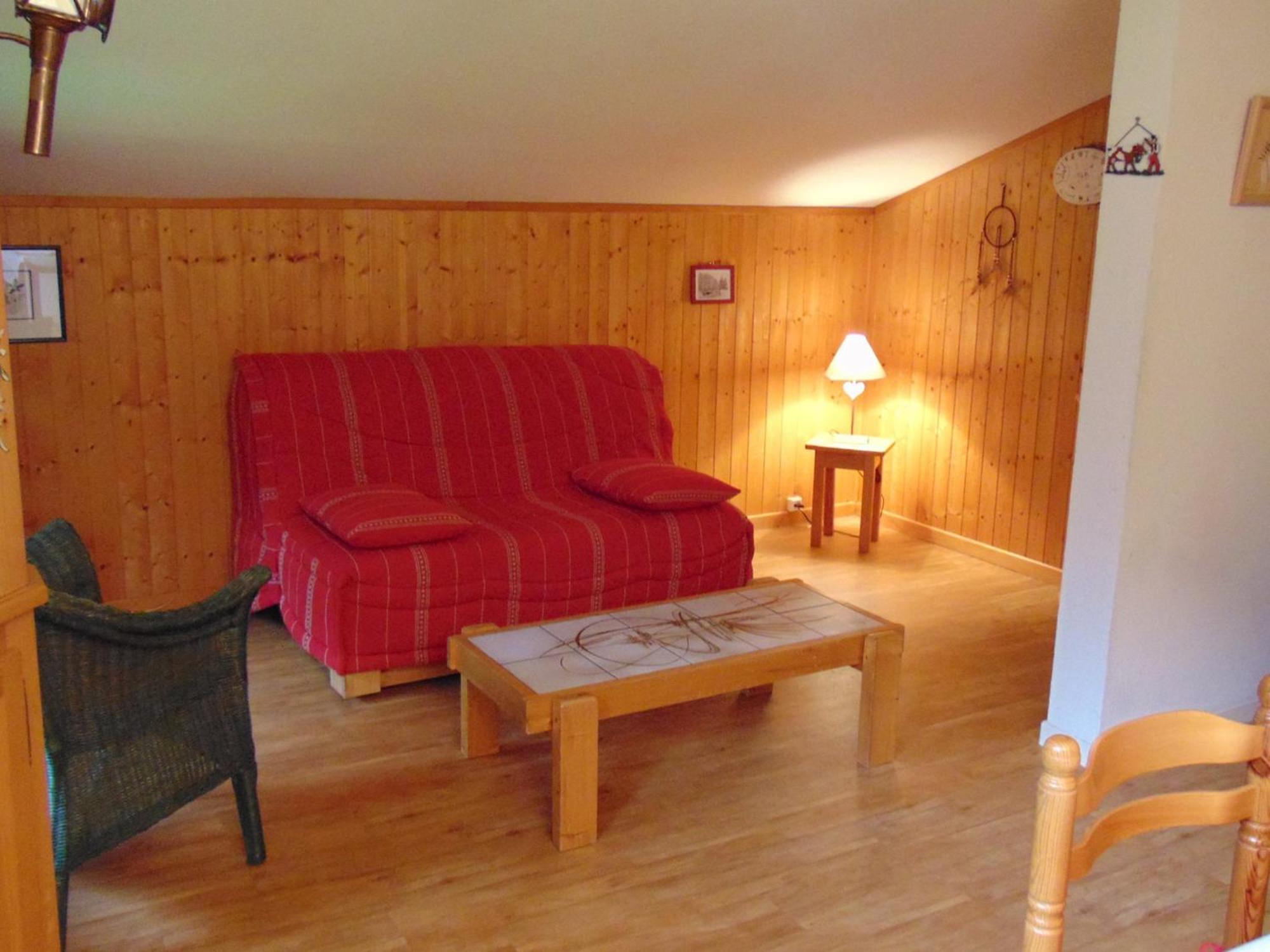 Bel Renove Avec Vue Sur Le Mont-blanc, Parking Couvert, Animaux Admis - Fr-1-517-51 Apartment *