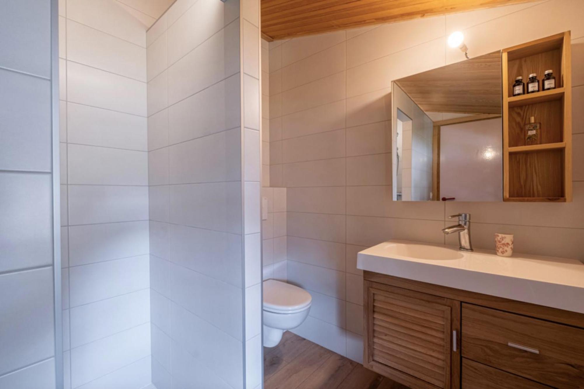 Chalet Cozy Big With Spectacular Mont-blanc View Chamonix