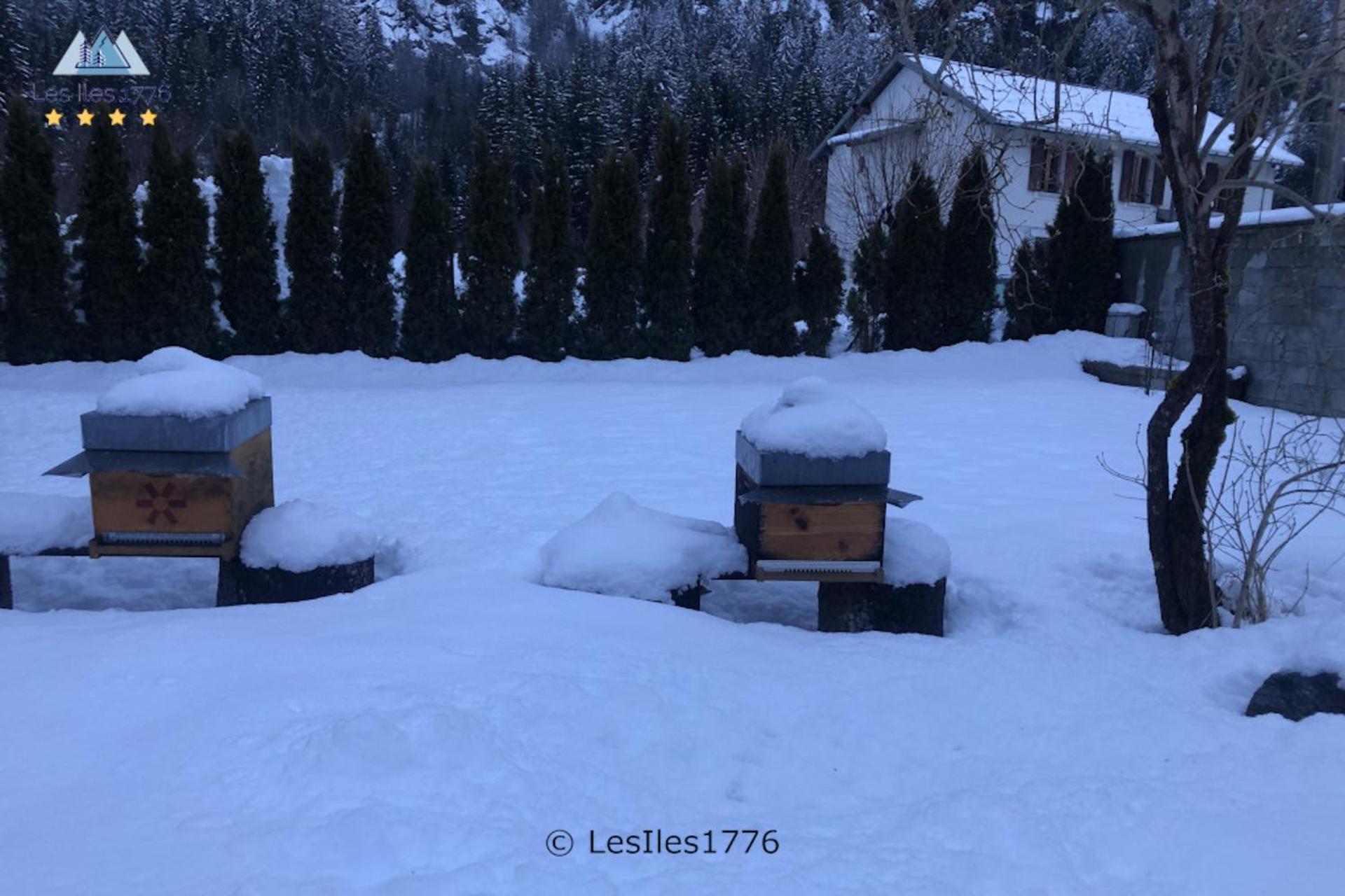 Les Iles 1776 Chamonix