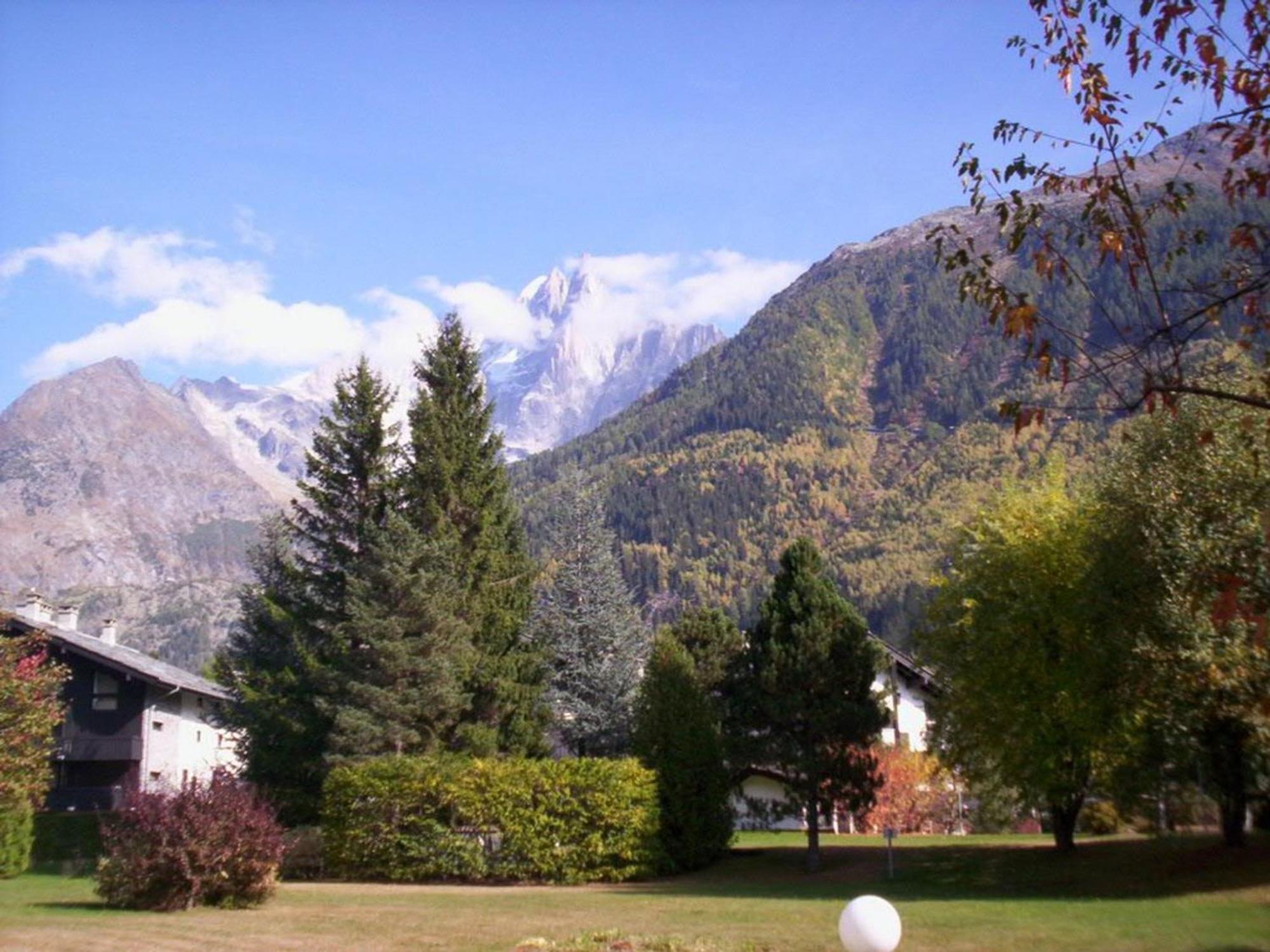 A Avec Parking Et Animaux Admis - Fr-1-517-35 Chamonix