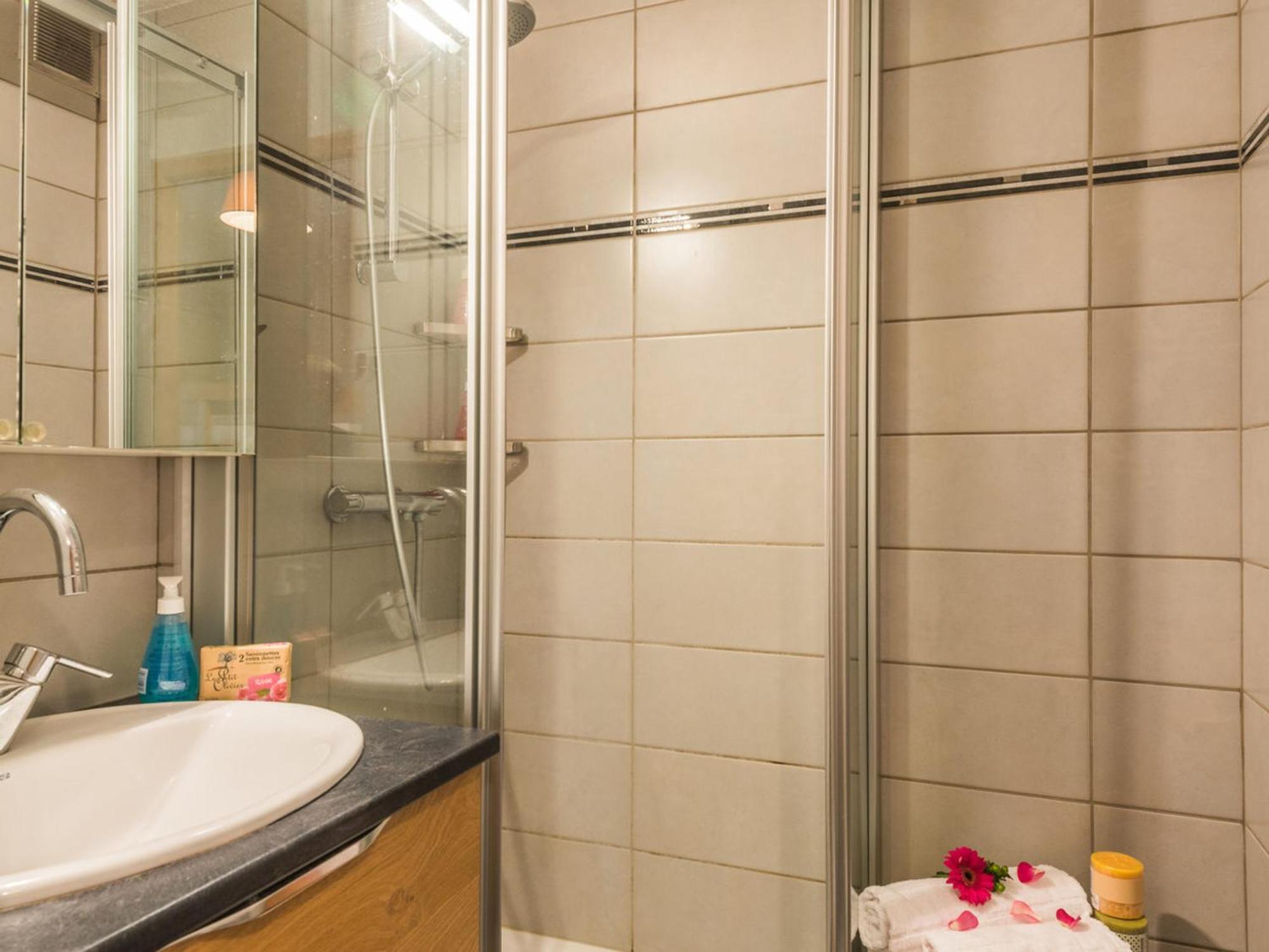 Cosy Proche Centre Avec Parking Et Animaux Admis - Fr-1-517-45 Apartment Chamonix