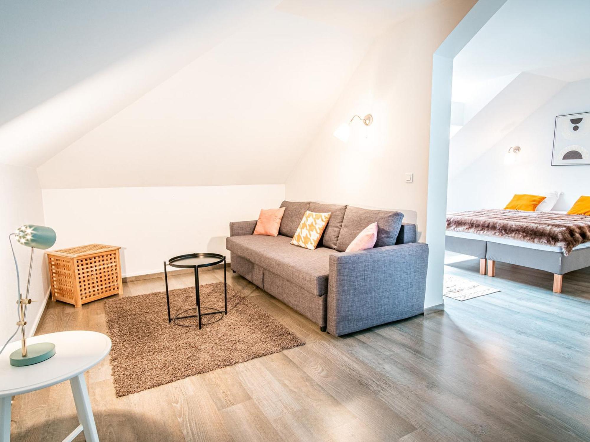 Apartment Superbe Renove Centre, 7-10 Pers, Animaux Admis - Fr-1-517-37 *