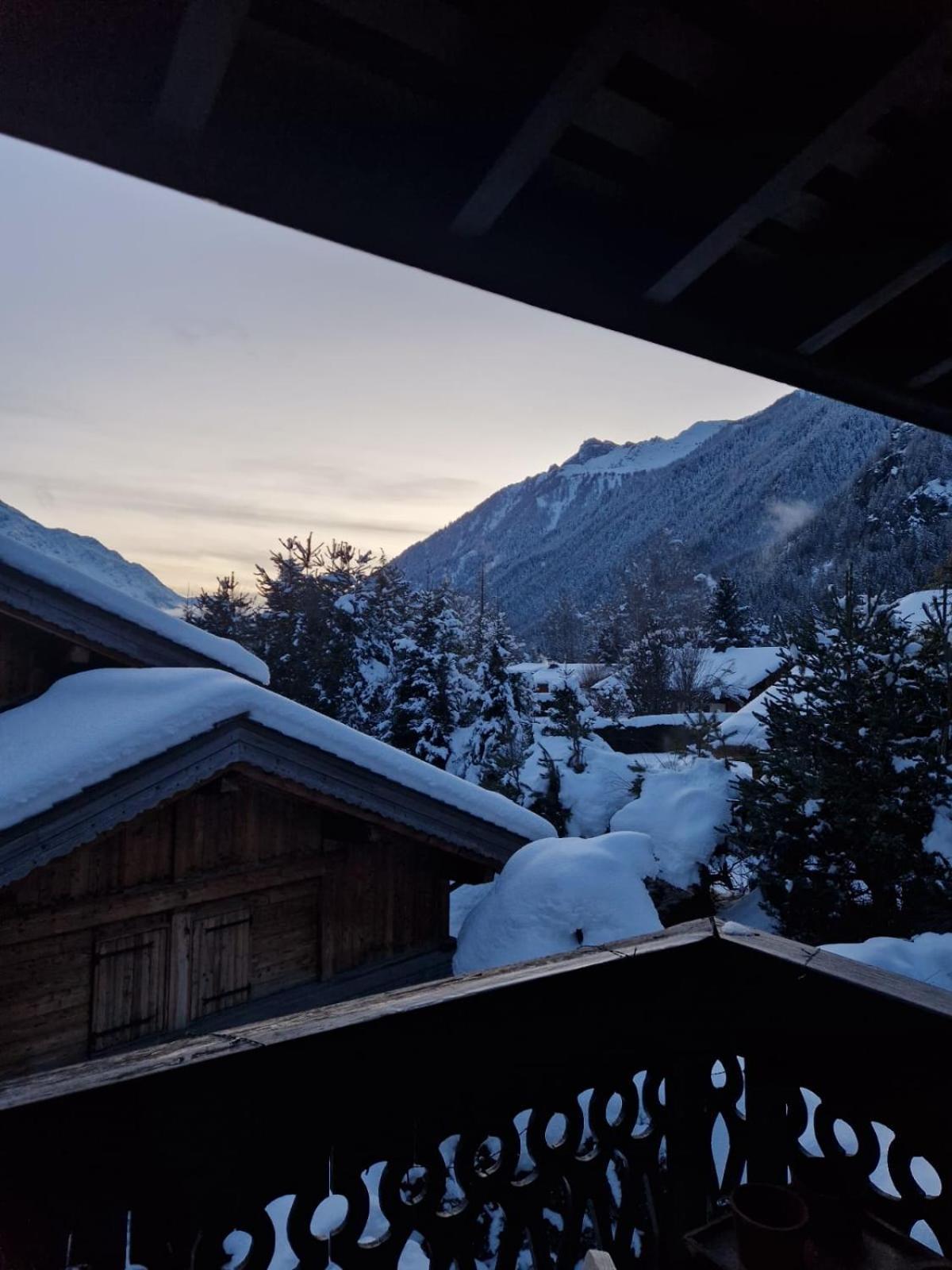 Ensoleille Aux Tines, Vue Massif * Chamonix