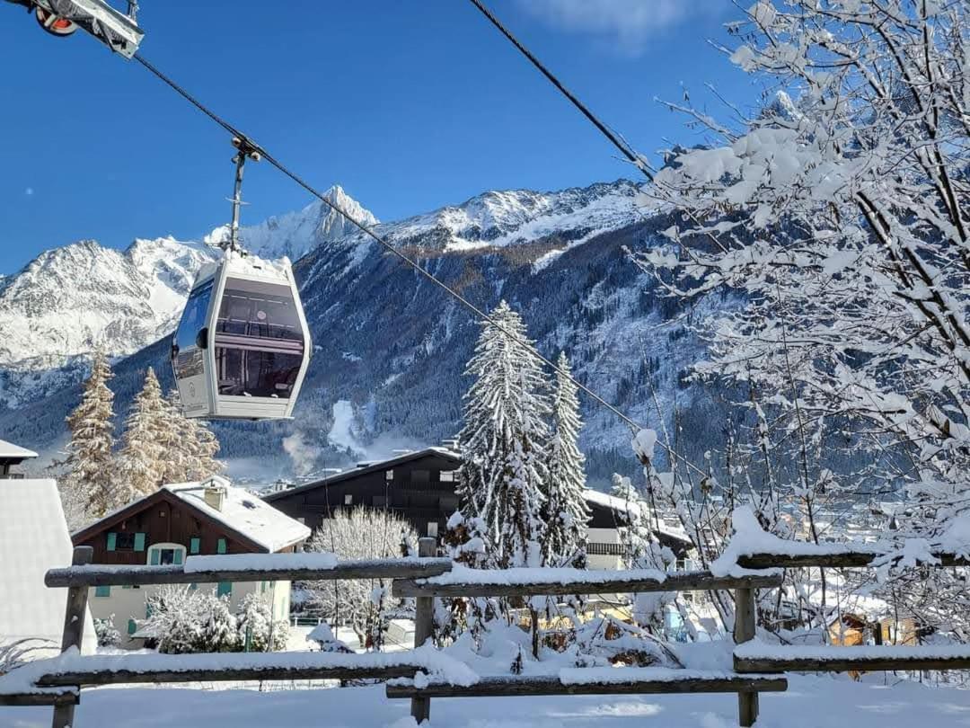 Happy Moose - Cosy Mont Blanc View