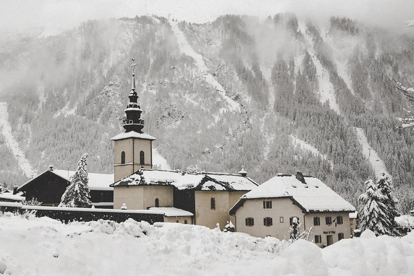 Happy Moose - Cosy Mont Blanc View