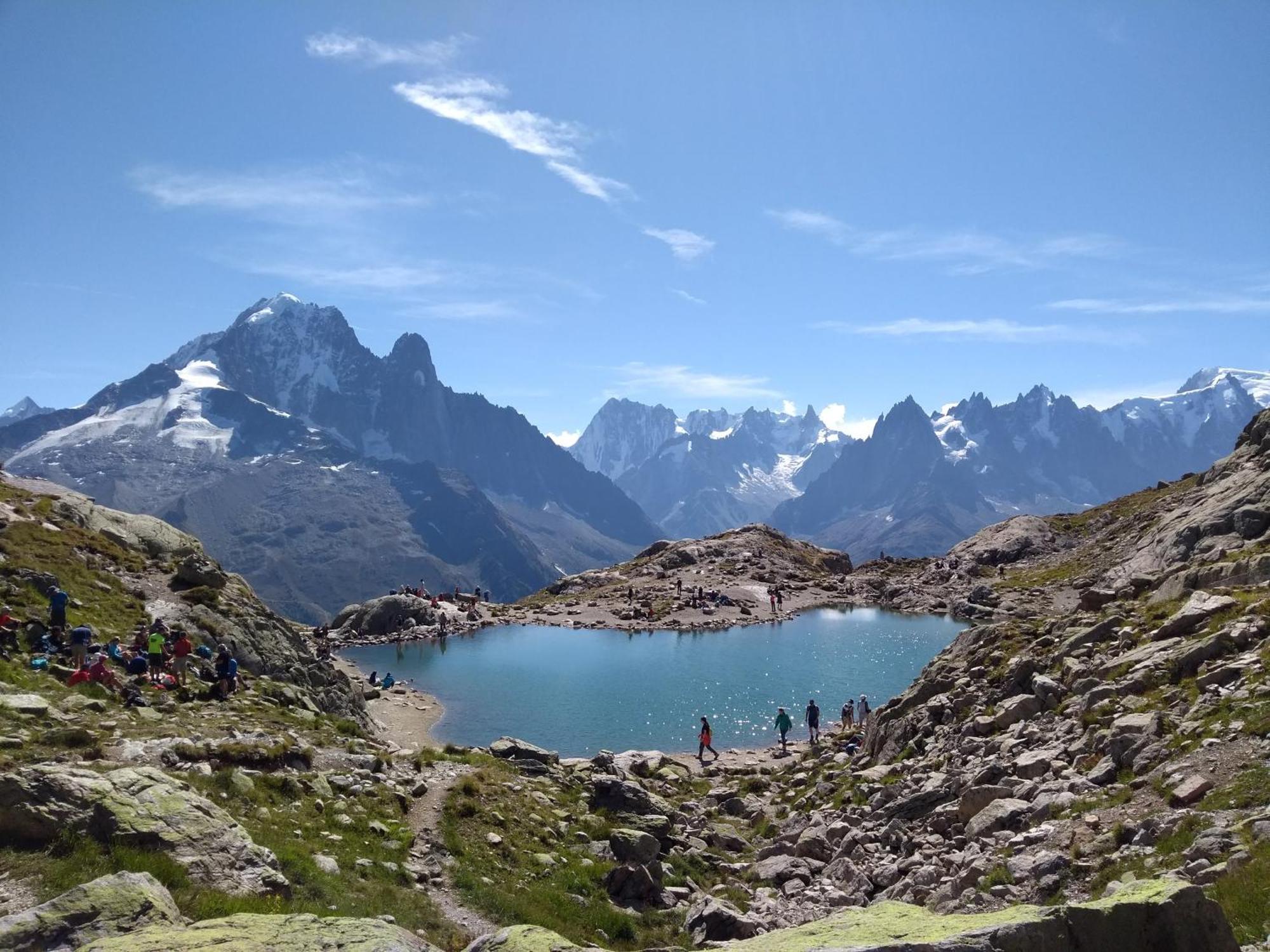 Happy Moose - Cosy Mont Blanc View *