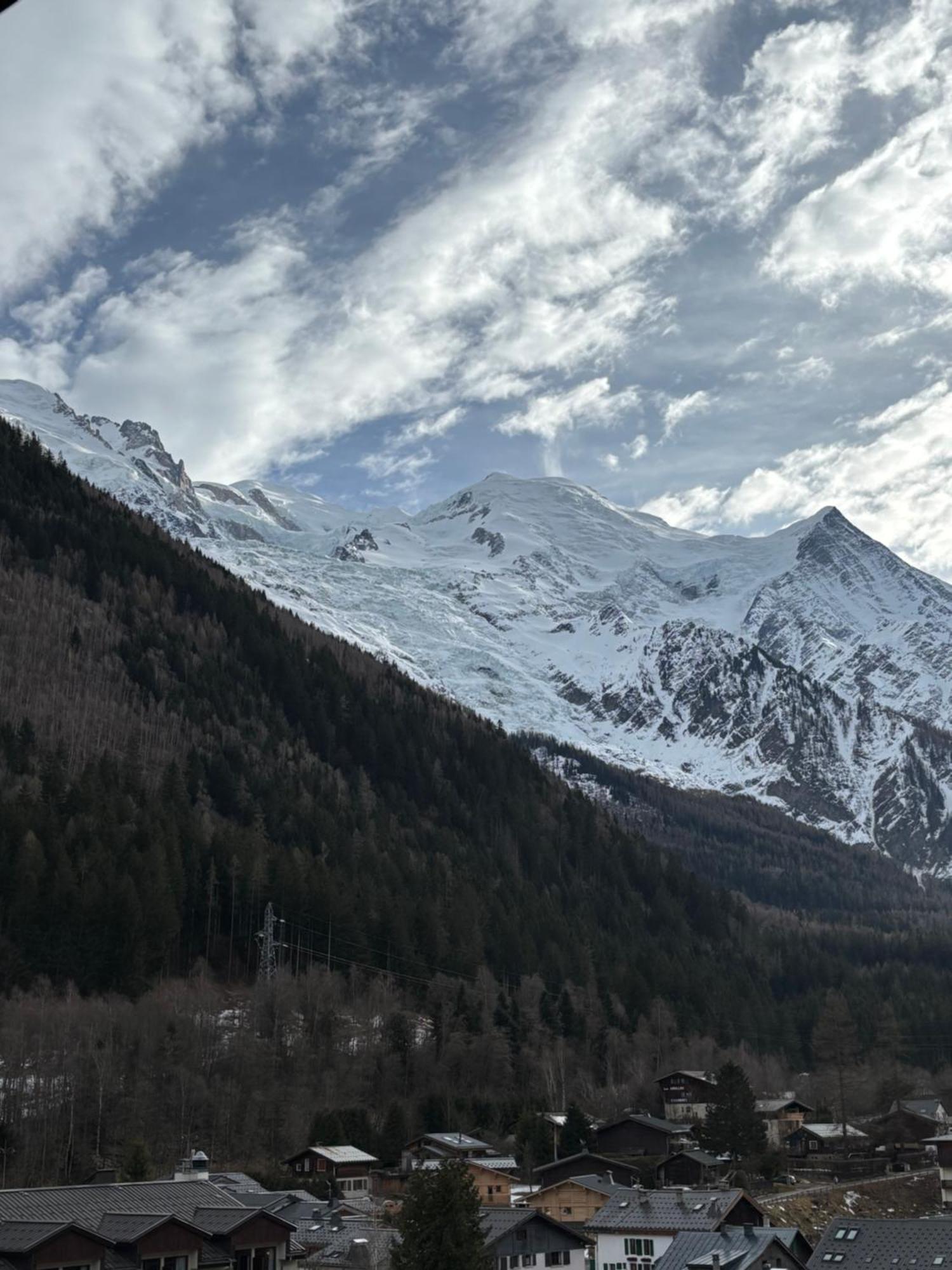 Chamois Blanc / Apartment Chamonix