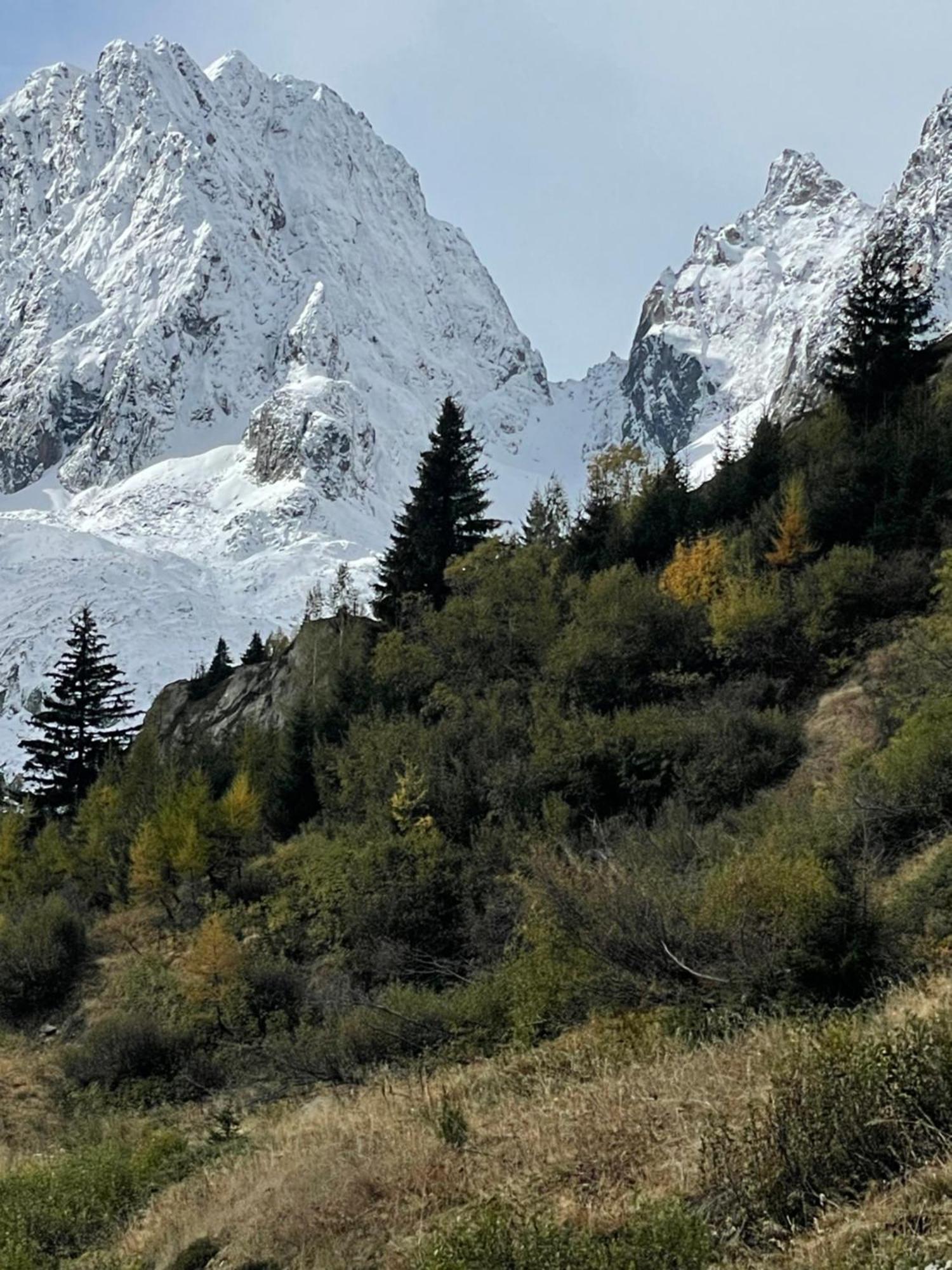 Large Peaceful For Mountain Adventures! Perfect For Flegere And Grand Montet Skiing * Chamonix
