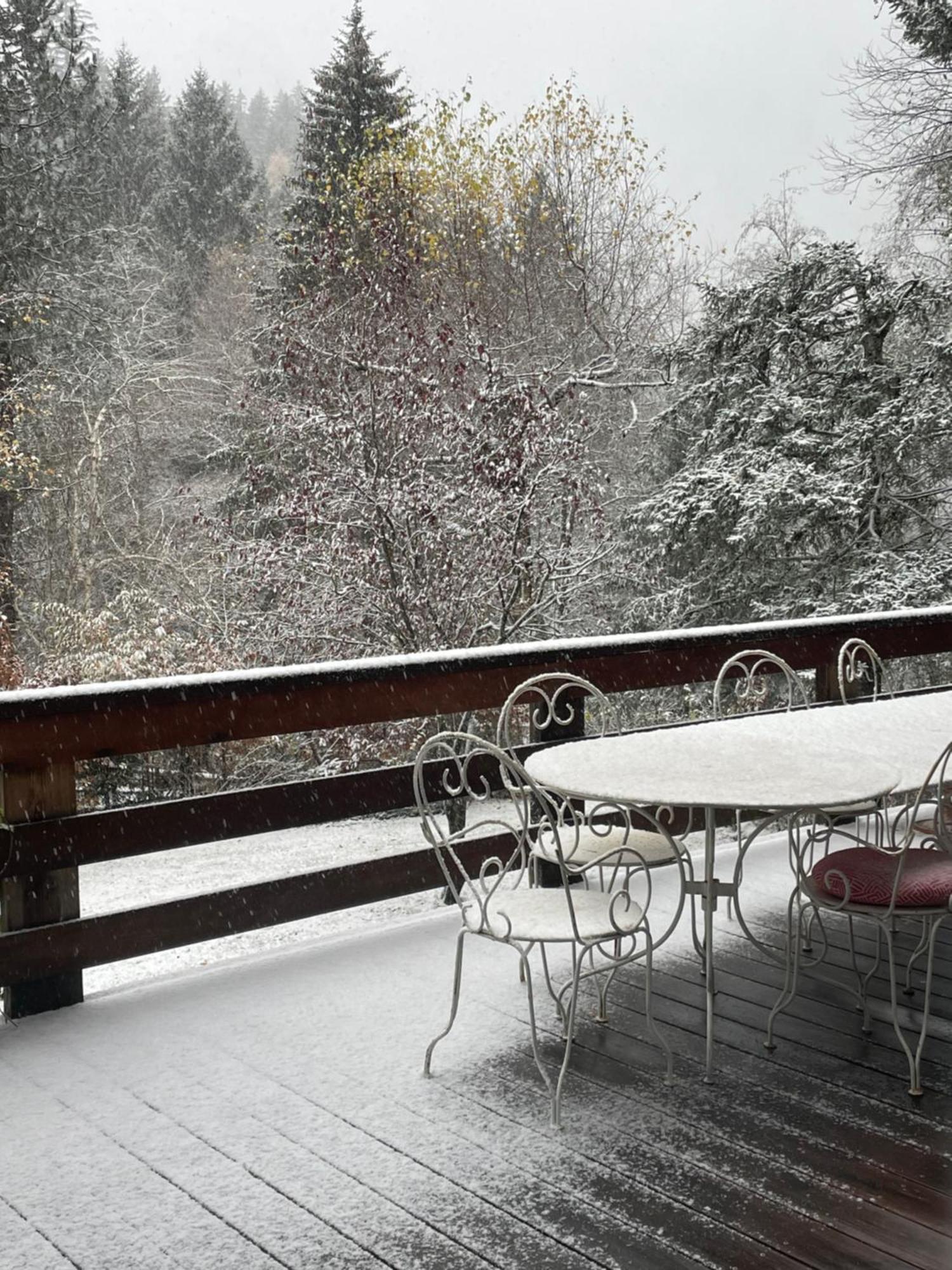Chalet Large Peaceful For Mountain Adventures! Perfect For Flegere And Grand Montet Skiing