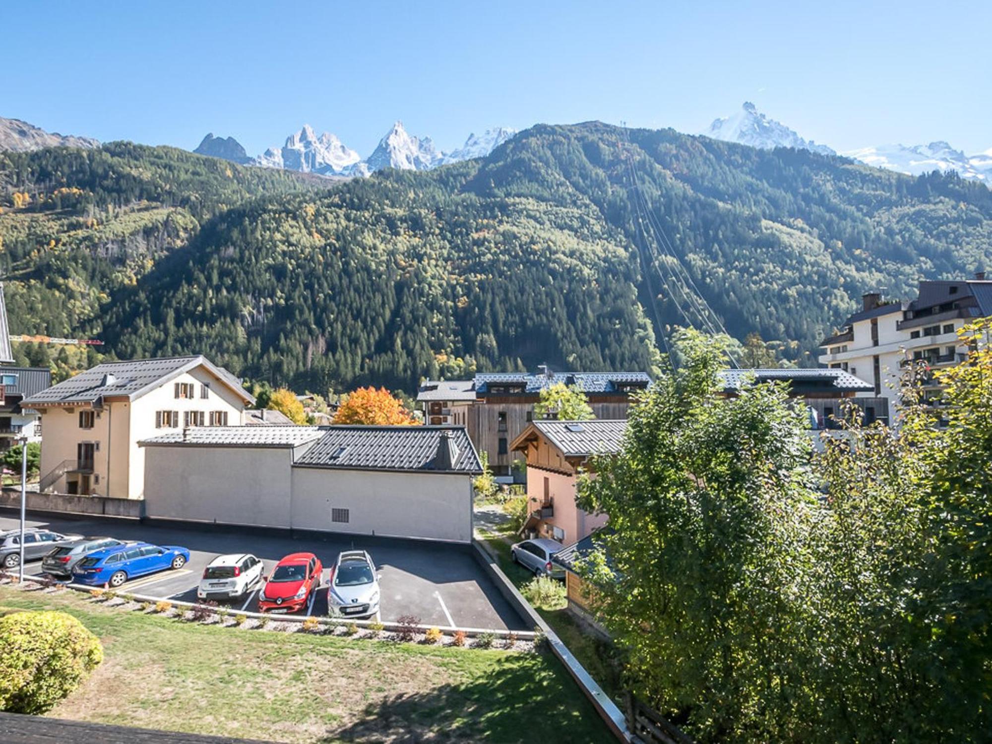 : Charmant, Balcon Vue Mont-blanc, Parking, Wifi, Animaux Acceptes - Fr-1-343-221 * Chamonix