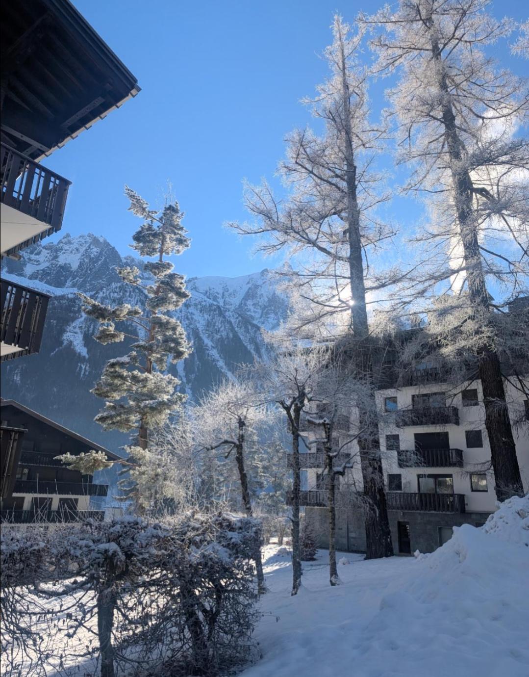 Au Petit Bois Apartment Chamonix