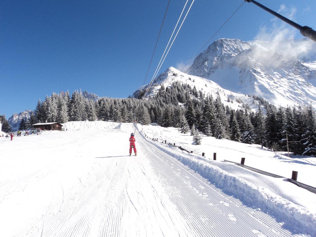 Les Arolles * Chamonix