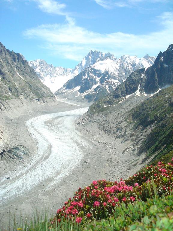 Les Arolles * Chamonix