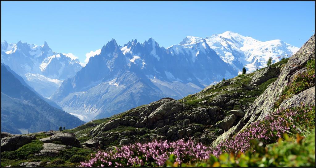 Hotel Le Dahu