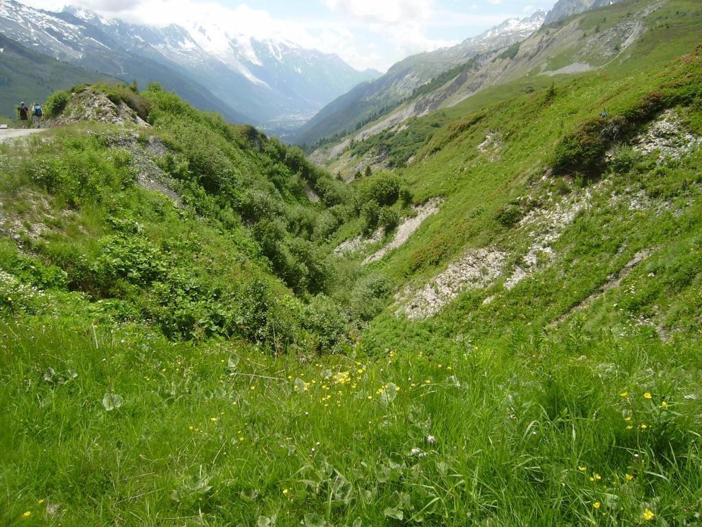 Les Drus / Du Brévent Appartement