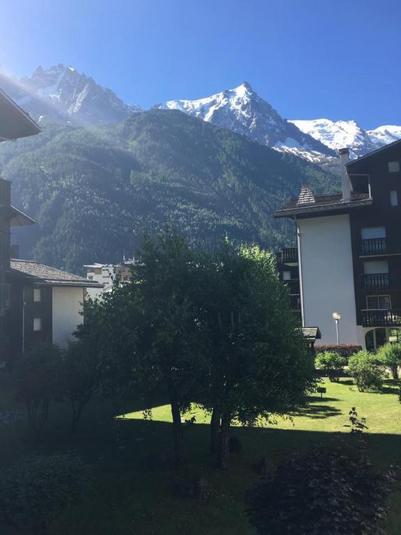 Clos Du Savoy Apartment Chamonix