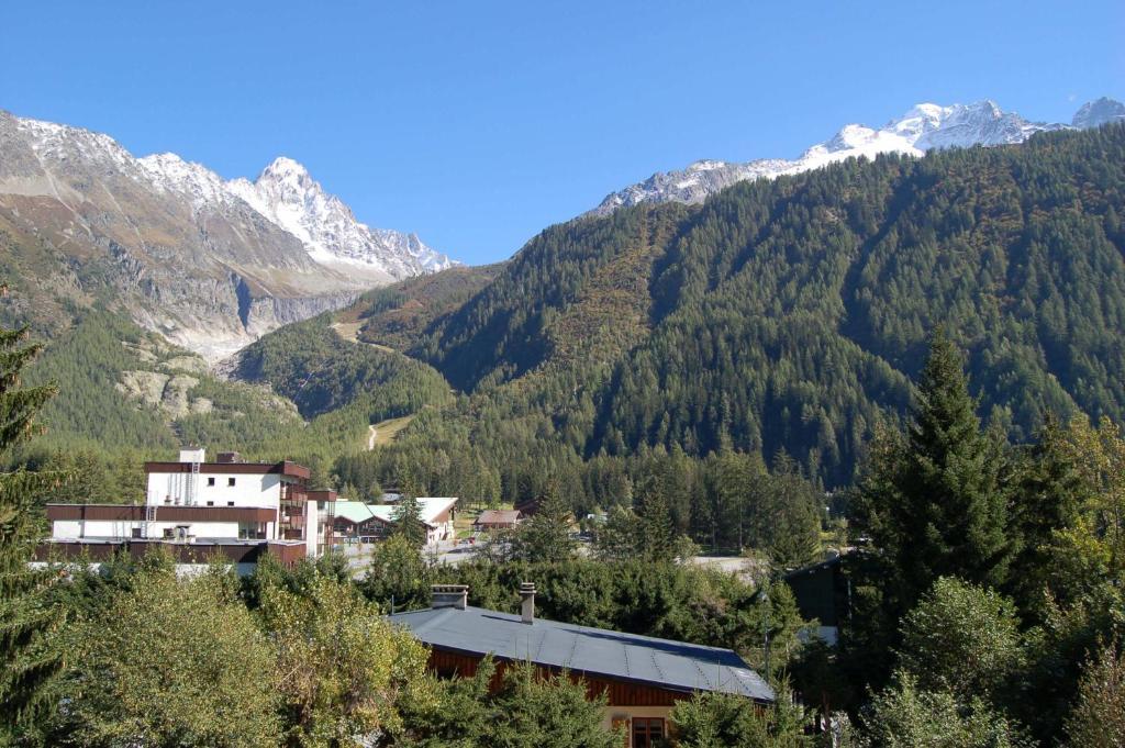 Androsace Chamonix