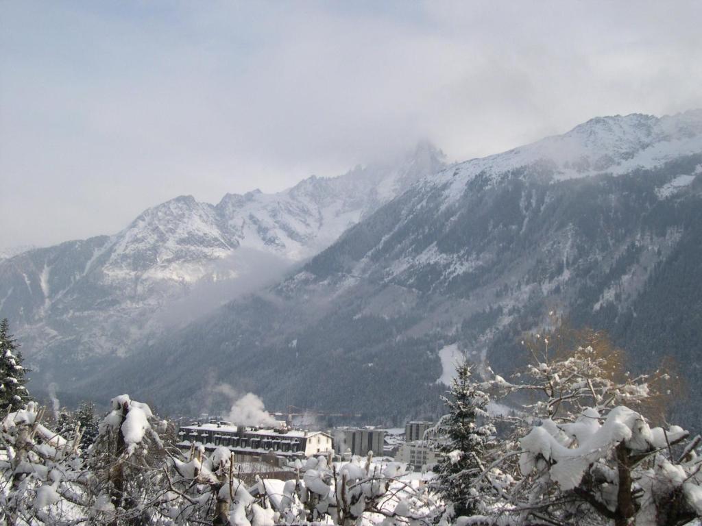 Studio Les Drus/studio Du Brevent Apartment *