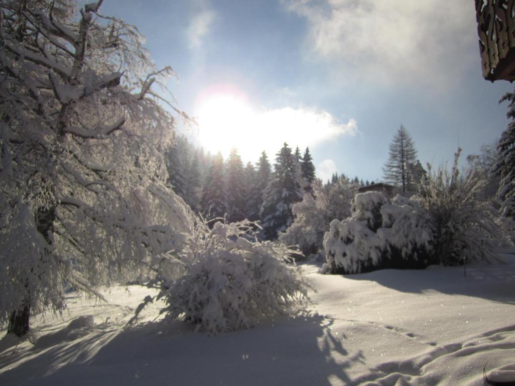 Beausoleil Bed & Breakfast Chamonix