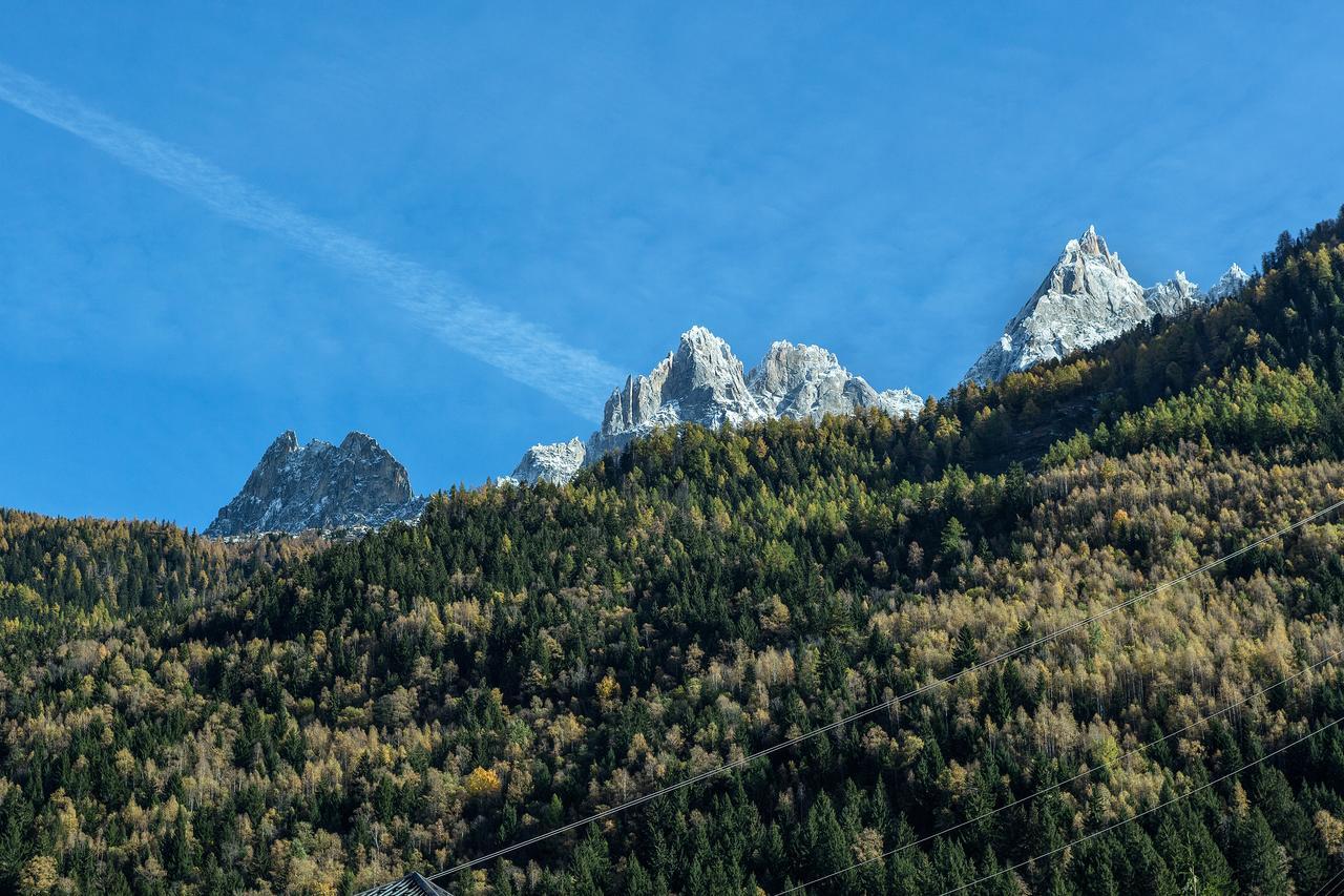 Chamois Blanc 1 *