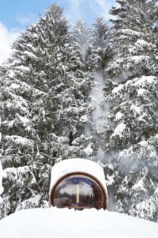 Marmotte Mountain Retreat Chalet *