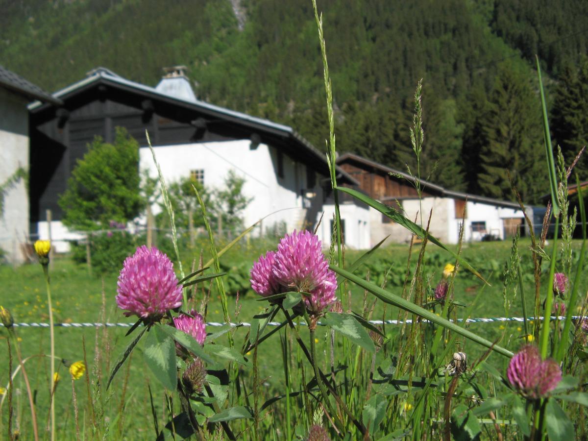 Hostel Nouveau Grassonnet