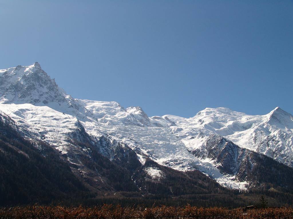 Les Glaciers - 1 Apartment
